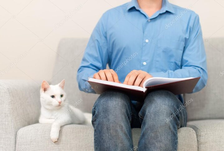 Özel ihtiyaçlı kedi